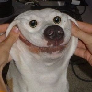 Meet your Posher, William